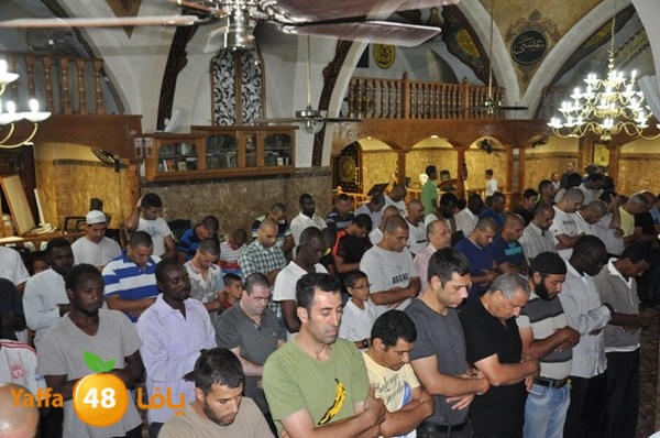 trawe7 mahmodiya 713 (47).JPG